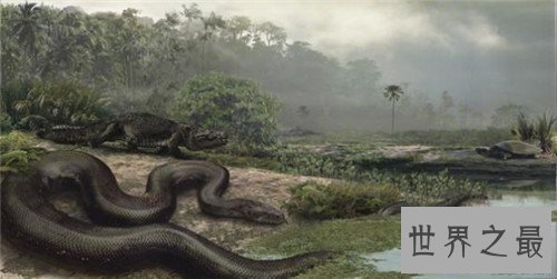 【图】巨蛇图片记录切实事情 曾有工人挖出地下巨蛇