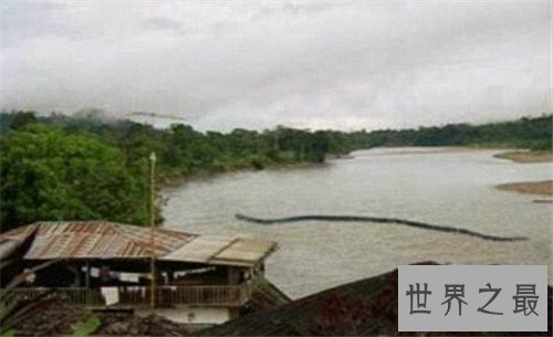 【图】巨蛇图片记录切实事情 曾有工人挖出地下巨蛇