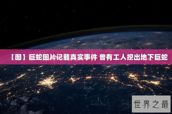 【图】巨蛇图片记载真实事件 曾有工人挖出地下巨蛇