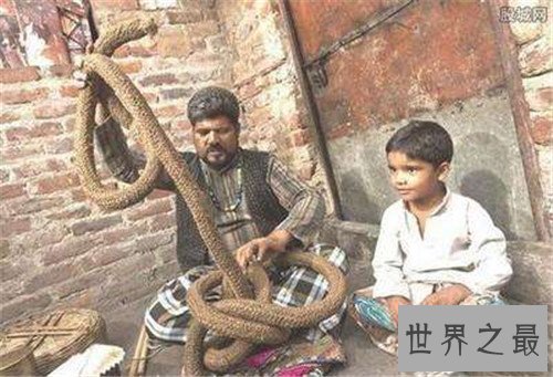 【图】通天绳为玛雅人的作品 听说里边加了这样货色