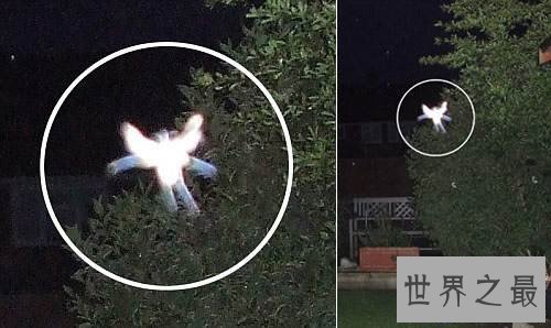 【图】外星人事情切实存在吗 曾有人拍到外星人视频