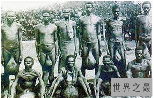 【图】象人族崇尚一夫多妻制 因部族男人生殖器官细小