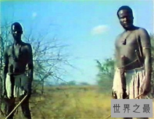 【图】象人族崇尚一夫多妻制 因部族男人生殖器官细小