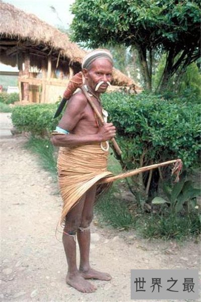 【图】象人族崇尚一夫多妻制 因部族男人生殖器官细小