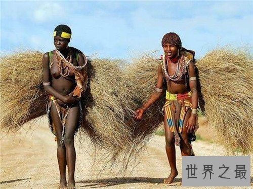 【图】象人族崇尚一夫多妻制 因部族男人生殖器官细小