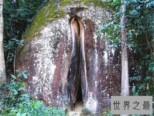 【图】女孩生殖器是长什么样子 事实中居然有长得这么