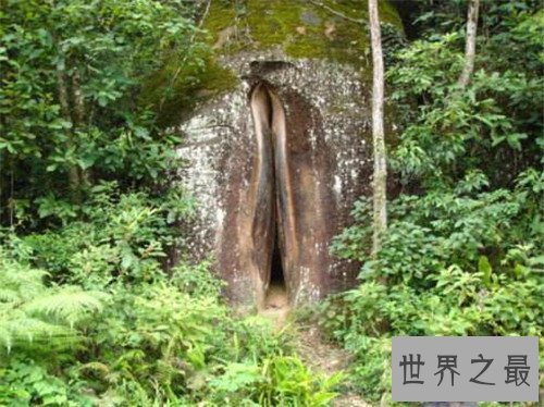 【图】女孩生殖器是长什么样子 事实中居然有长得这么