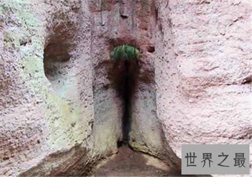 【图】女孩生殖器是长什么样子 事实中居然有长得这么