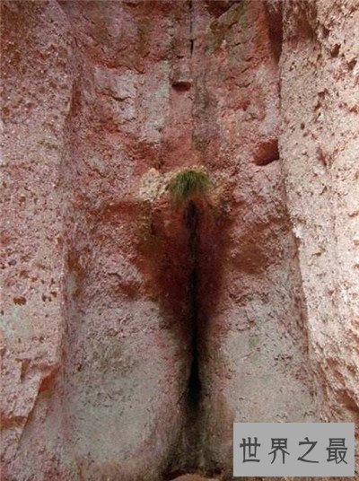 【图】女孩生殖器是长什么样子 事实中居然有长得这么