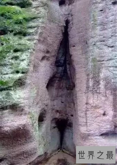 【图】女孩生殖器是长什么样子 事实中居然有长得这么