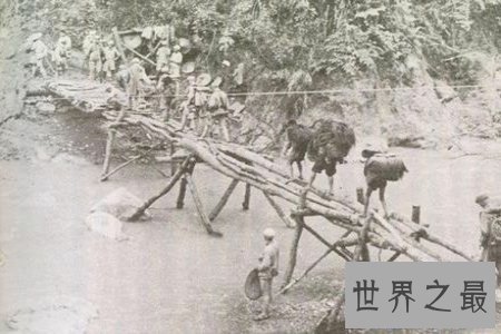 【图】缅甸的野人山是一座非常可怕的山 听说很少有人