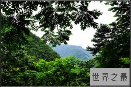 【图】缅甸的野人山是一座非常可怕的山 听说很少有人
