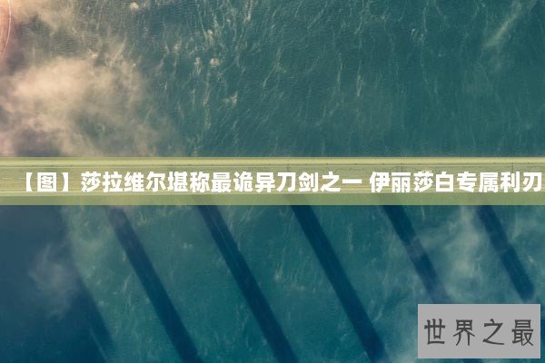 【图】莎拉维尔堪称最诡异刀剑之一 伊丽莎白专属利刃