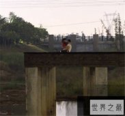 【图】门事件视频都有哪些 干露露浴室征婚引热议