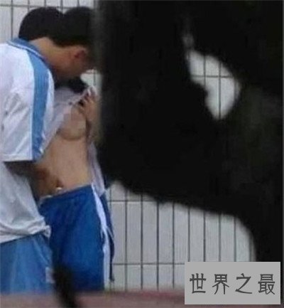 【图】门事情视频都有哪些 干露露浴室征婚引热议