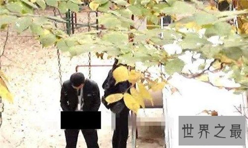 【图】门事情清点 皆是网络上与性相干的不雅照视频