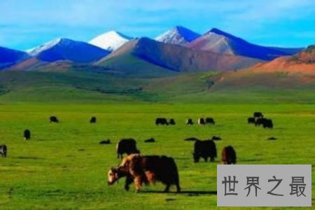 【图】中国地大物博 地形多样 中国海拔最高的盆地就在