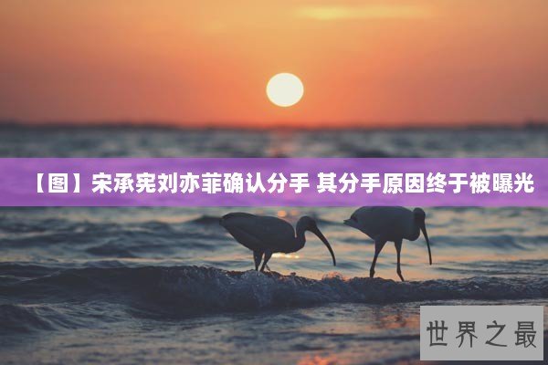 【图】宋承宪刘亦菲确认分手 其分手原因终于被曝光