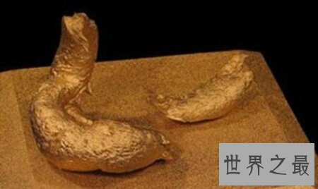 【图】在网络上上传恶心图片终究是什么用意