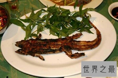 【图】在网络上上传恶心图片终究是什么用意