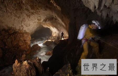 【图】盗墓笔记秦岭神树 秦岭神树居然是一个针对吴邪