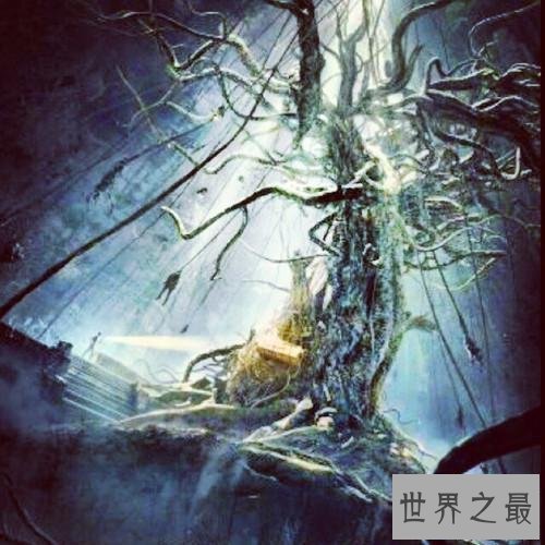 【图】盗墓笔记秦岭神树 秦岭神树居然是一个针对吴邪