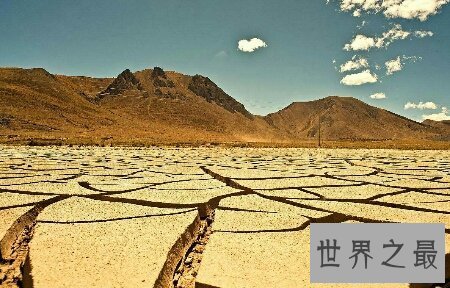 【图】由著名的电影导演宁浩拍摄的无人区为什么被禁