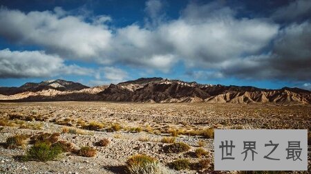 【图】由著名的电影导演宁浩拍摄的无人区为什么被禁