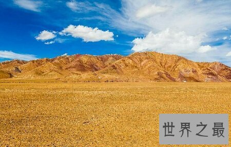 【图】由著名的电影导演宁浩拍摄的无人区为什么被禁