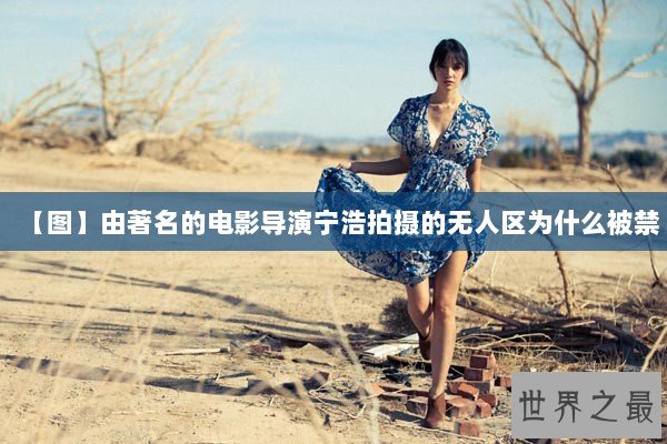 【图】由著名的电影导演宁浩拍摄的无人区为什么被禁