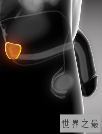 【图】男性生殖那些你不能不懂得瘦弱常识秘密