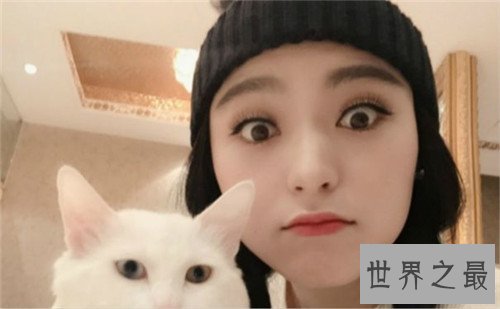 【图】范冰冰替身都有谁 甘露曾负责范冰冰全裸替身