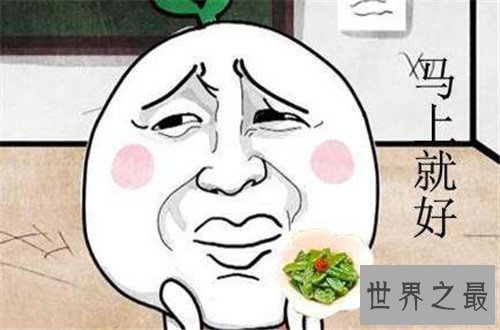 【图】客套话应该怎样学习 酒桌上的礼仪少不了客套话