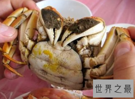 【图】第一个吃螃蟹的人这位好汉到底心里怎样想的
