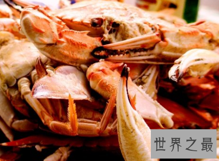 【图】第一个吃螃蟹的人这位好汉到底心里怎样想的