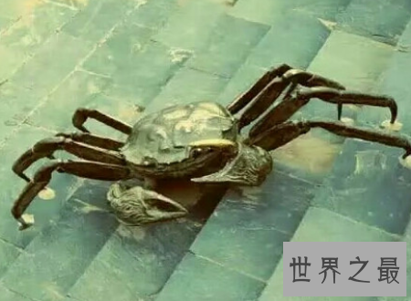 【图】第一个吃螃蟹的人这位好汉到底心里怎样想的