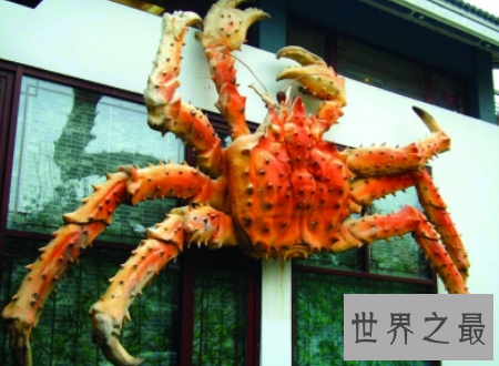 【图】第一个吃螃蟹的人这位好汉到底心里怎样想的