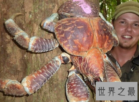 【图】第一个吃螃蟹的人这位好汉到底心里怎样想的