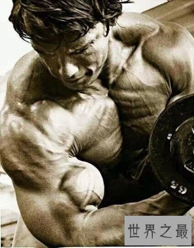 【图】瞧瞧那牢固的肌肉 世界上最强健的人前三榜