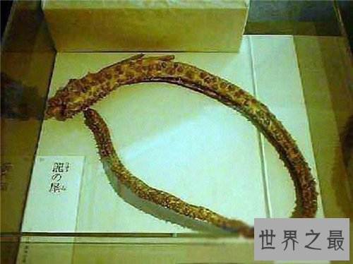 【图】走蛟切实存在吗 曾在四川有老人遇到它