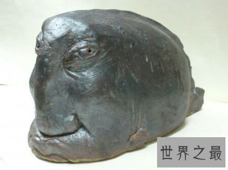 【图】由鲤鱼与鳜鱼杂交的后代 脸孔长的像人的人面鱼