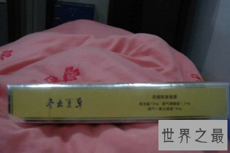【图】冬虫夏草香烟价格惊人 堪称香烟界最贵 据说它对