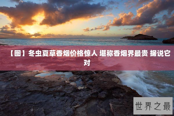 【图】冬虫夏草香烟价格惊人 堪称香烟界最贵 据说它对