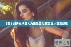 【图】刘丹车祸是人为还是因为酒驾 让人匪夷所思