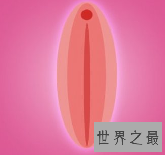 【图】来科普一下魏吉娜的冷知识 而且要知道这个并不