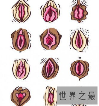 【图】来科普一下魏吉娜的冷知识 而且要知道这个并不