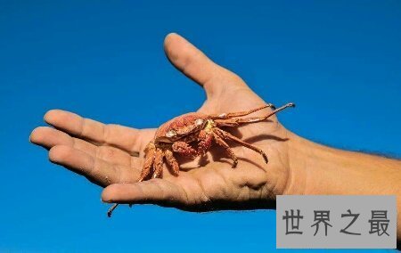 【图】宝宝出生时为螃蟹手怎样去治疗 可能治疗好吗