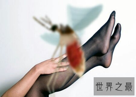 【图】黑丝足交是一种比较少儿不宜的货色 关于男女方