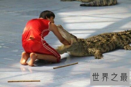 【图】数一数那些可怕的鳄鱼吃人的事情 你知道哪些