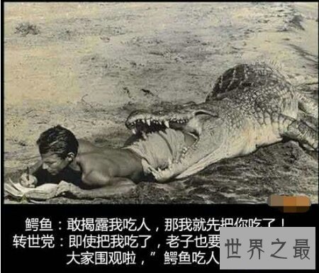 【图】数一数那些可怕的鳄鱼吃人的事情 你知道哪些